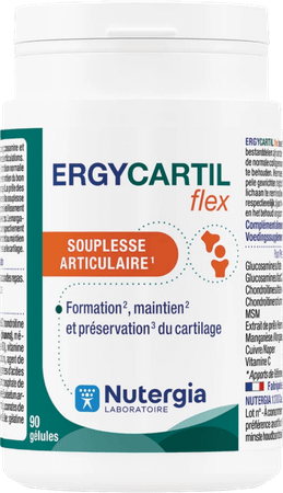 Ergycartil Flex Capsule 90  -  Lab. Nutergia