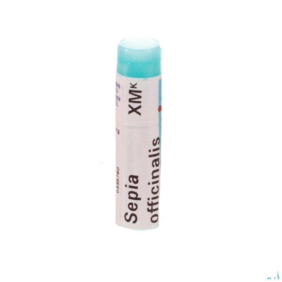 Sepia Officinalis XMK Gl  -  Boiron