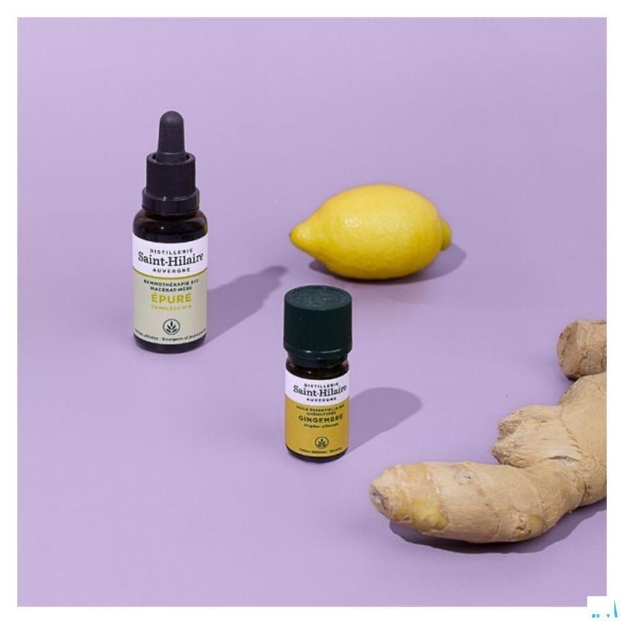 Gingembre Rhizome Bio Huile Essentielle 5 ml  -  Bioholistic Diffusion