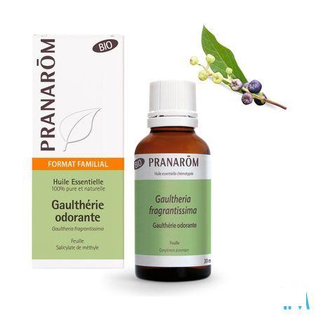 Bergthee Bio Essentiele Olie 30 ml  -  Pranarom