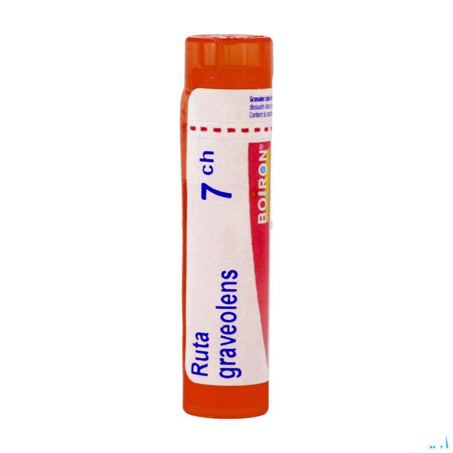 Ruta Graveolens 7CH Gr 4g  -  Boiron
