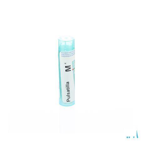 Pulsatilla MK Gr 4g  -  Boiron