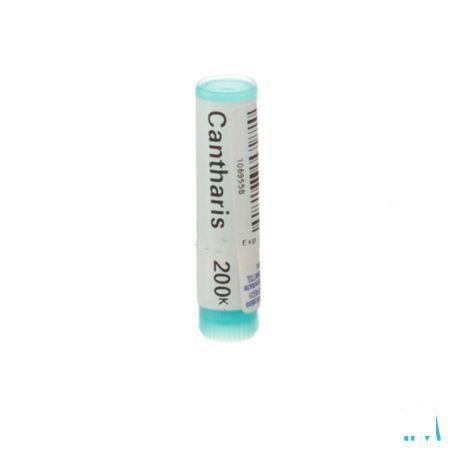Cantharis 200K Gl  -  Boiron