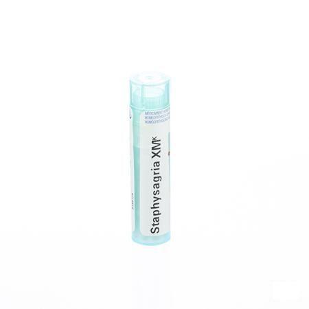 Staphysagria XMK Gr 4g  -  Boiron