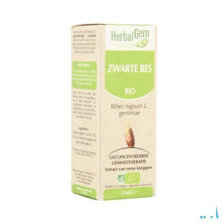 Herbalgem Zwarte Bes Maceraat 15 ml  -  Herbalgem