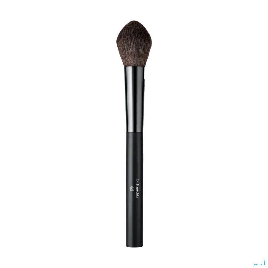 Dr.Hauschka Blusher Brush 1 st   -  Wala Nederland