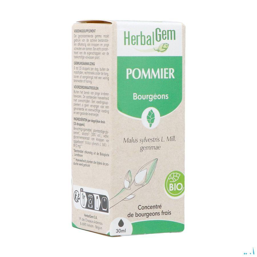 Herbalgem Appelboom Bio 30 ml