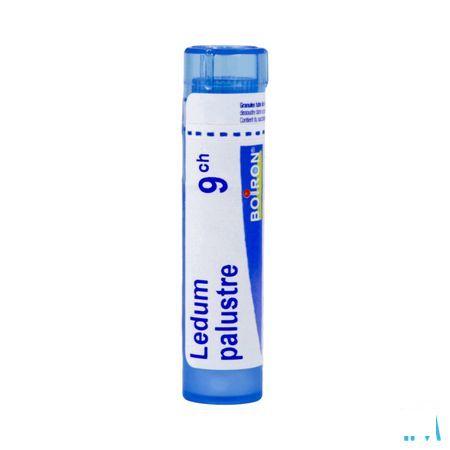 Ledum Palustre 9CH Gr 4g  -  Boiron