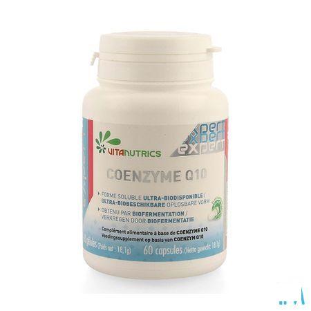 Vitacoenzyme Q10 V-Capsule 60 