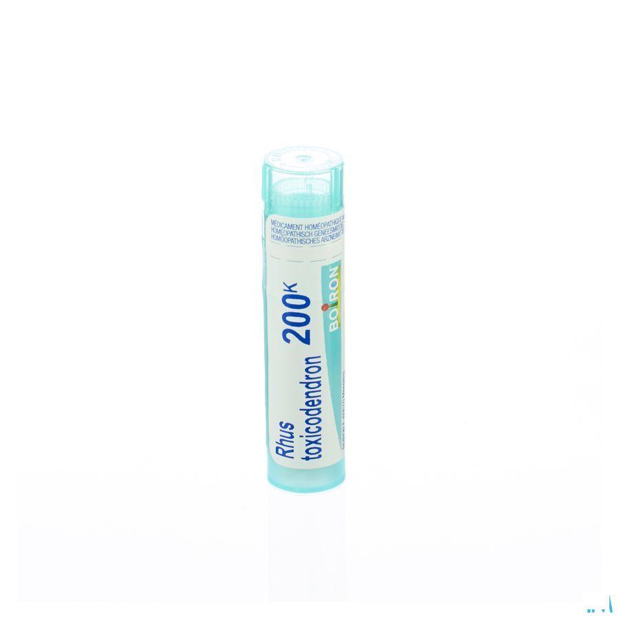 Rhus Toxicodendron 200K Gr 4g  -  Boiron