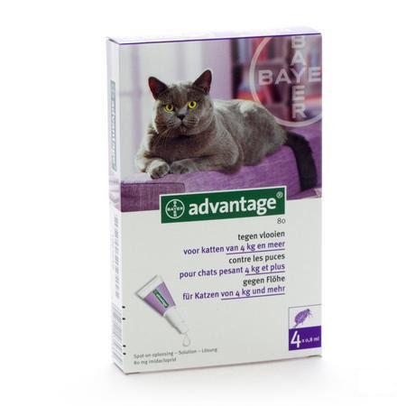 Advantage 80 Katten >4kg 4x0,8ml
