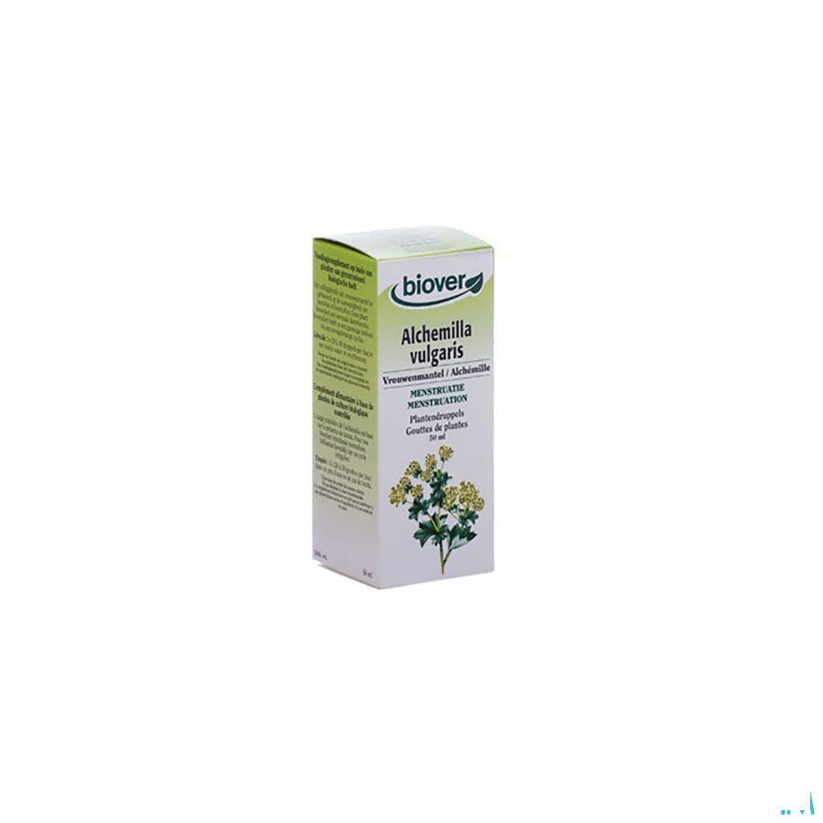 Alchemille Teint Bio 50 ml   -  Ocebio