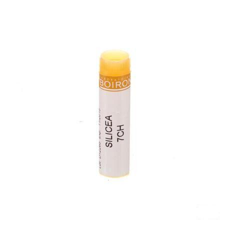 Silicea 7CH Gl  -  Boiron