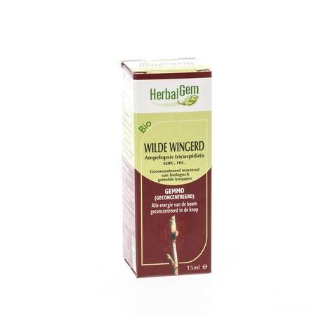 Herbalgem Wilde Wingerd Maceraat 15 ml  -  Herbalgem