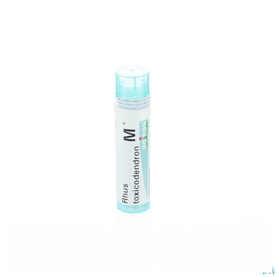 Rhus Toxicodendron MK Gr 4g  -  Boiron