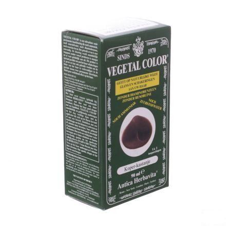 Vegetal Color Blond Koper 90Ml 7R