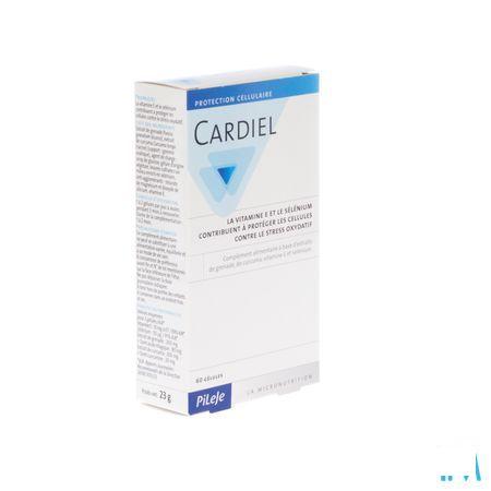 Coban 2 3M Compressiezwachtel 10,0cm x 2,70m 1 20024