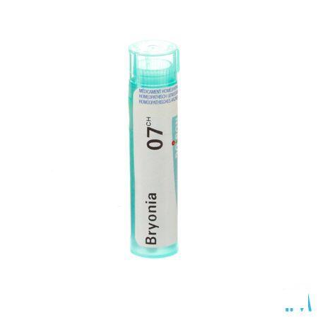 Bryonia 7CH Gr 4g  -  Boiron