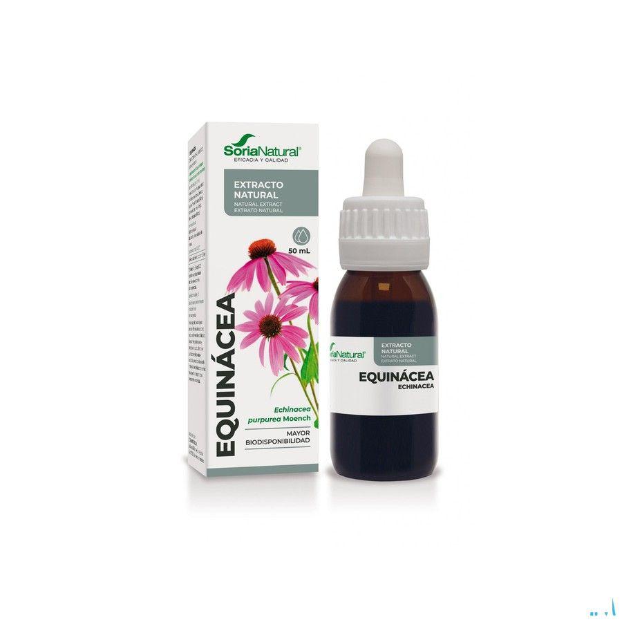 Soria Echinacea Purpurea Xxi Extr. Flacon 50 ml  -  Soria Bel