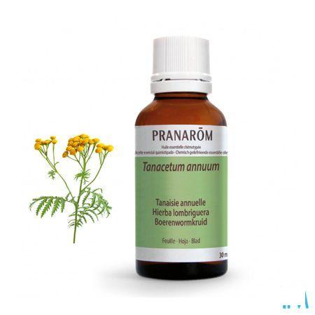 Tanacet. Annu Essentiele Olie 30 ml  -  Pranarom