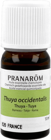 Thuya Huile Essentielle 10 ml  -  Pranarom
