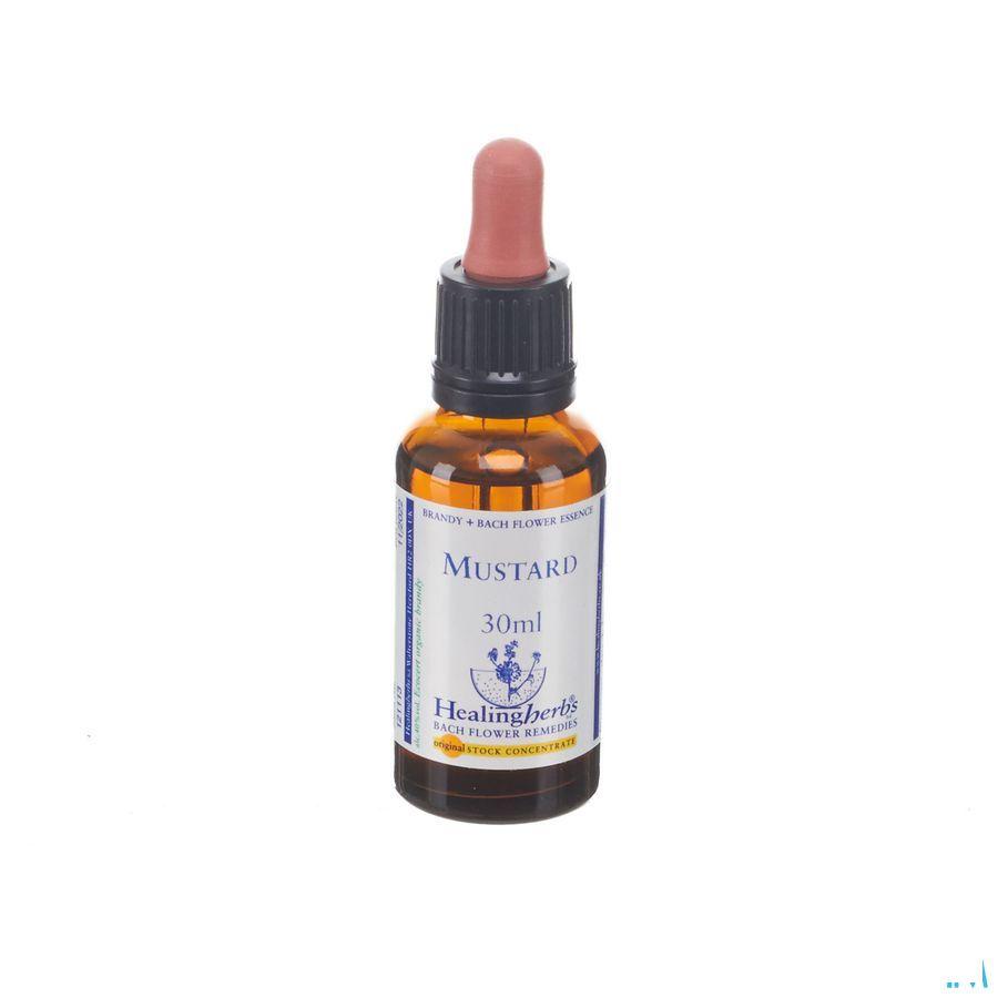 Healing Herbs Mustard 30 ml