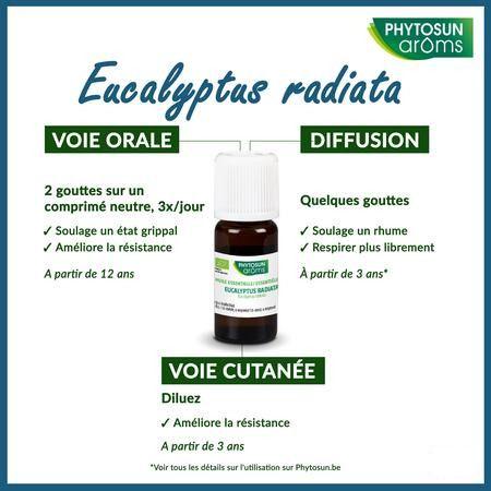 Phytosun Euc. Radiata Fr-bio-01 10 ml