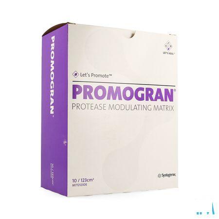 Promogran Verband Ster 123cm2 10 M772123de  -  Gd Medical