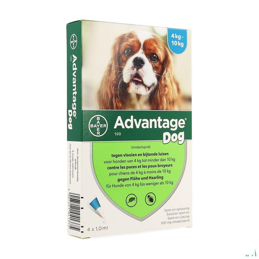 Advantage 100 Honden 4