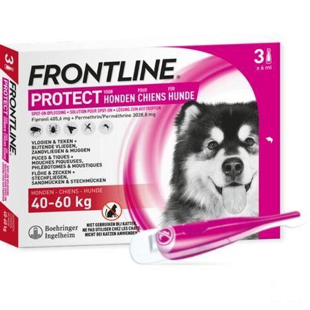 Frontline Protect Spot On Opl Hond 40-60Kg Pipet 3