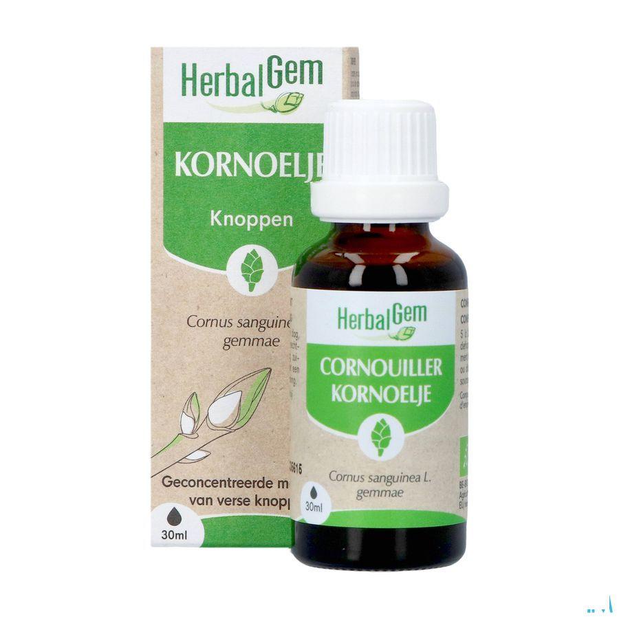 Herbalgem Cornouill Bio 30 ml