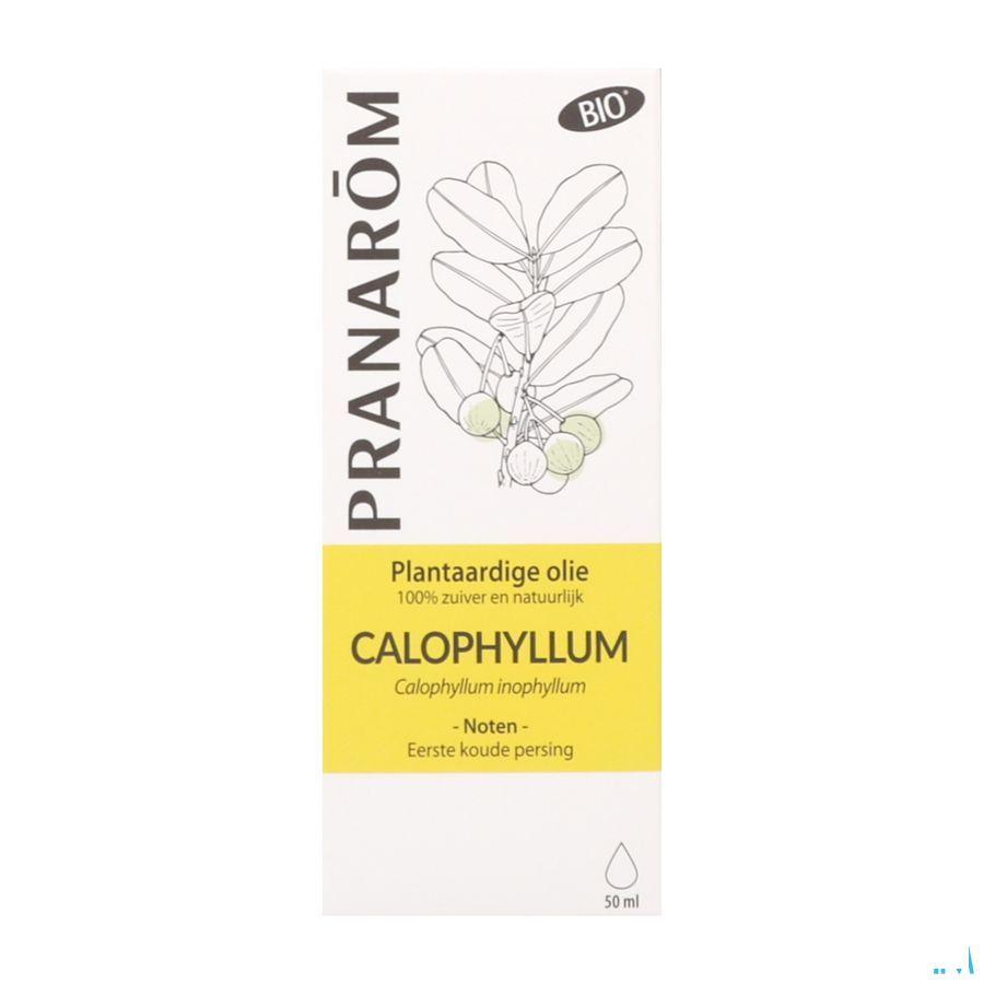 Calophylle Bio Huile Vegetale 50 ml  -  Pranarom