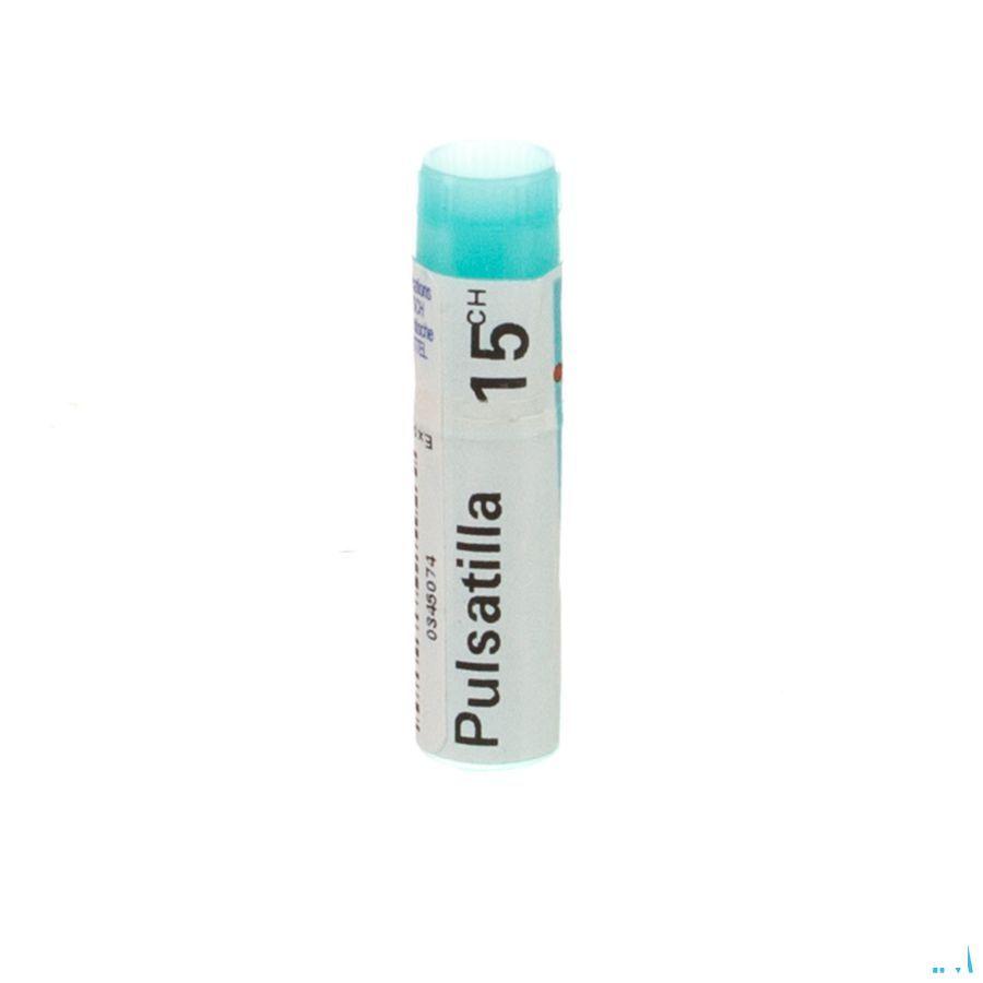 Pulsatilla 15CH Gl  -  Boiron