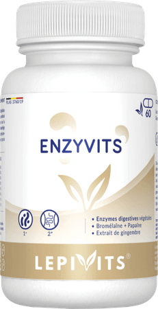 Lepivits Enzyvits V-Caps 60  -  Lepivits