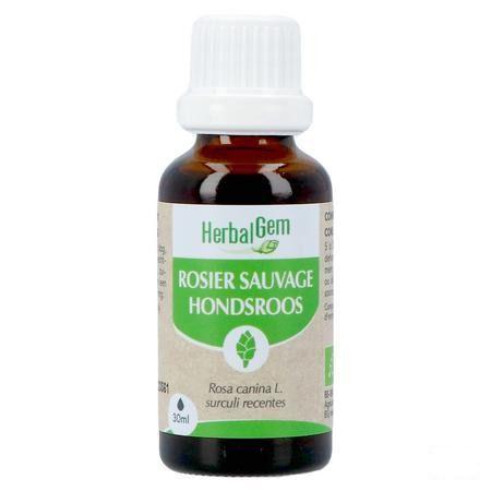 Herbalgem Rosier Sa Bio 30 ml