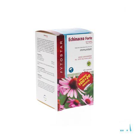 Fytostar Echinacea Forte Maxi Capsule 120  -  Ocebio