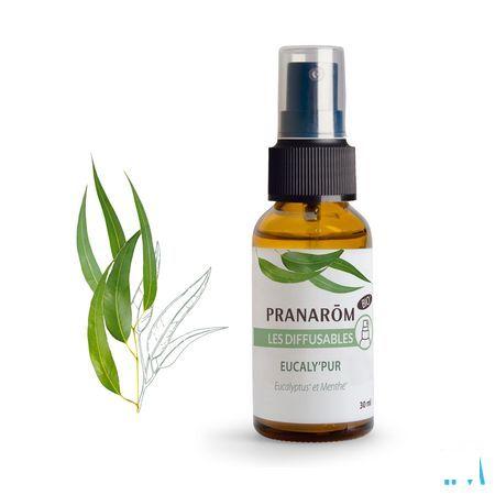 Les Diffusables Eucaly Pur Bio Spray 30 ml