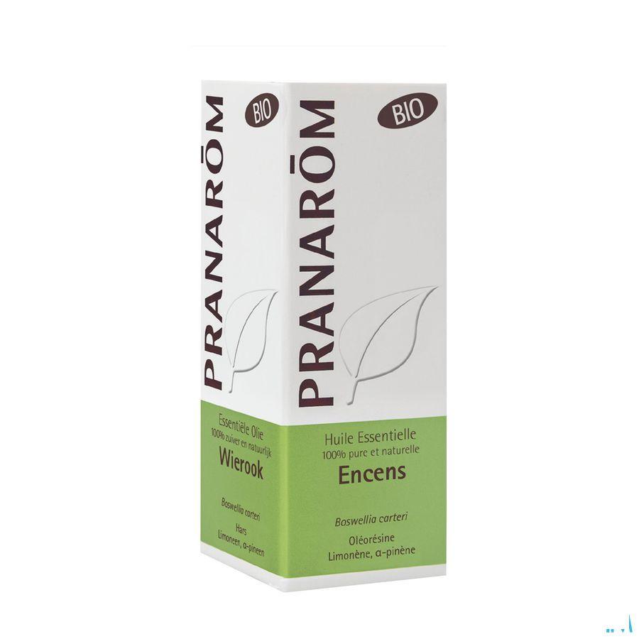 Wierook Oliban Somalie Bio Essentiele Olie 5 ml  -  Pranarom