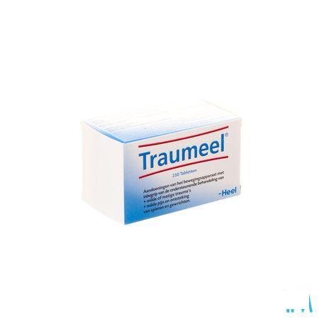 Heel Traumeel 250 Tabl  -  Heel