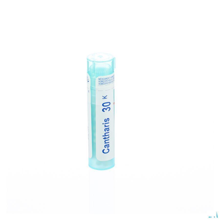Cantharis 30K Gr 4g  -  Boiron