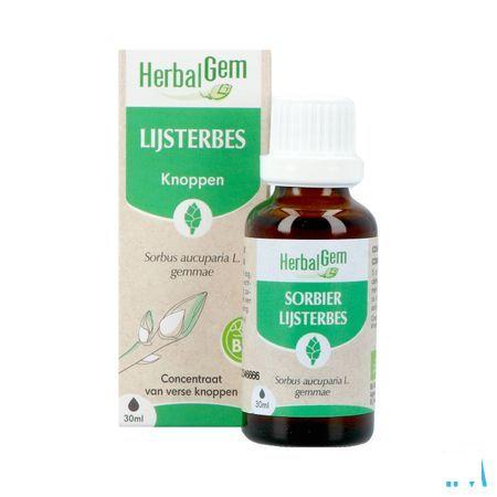 Herbalgem Lijsterbes Bio 30 ml