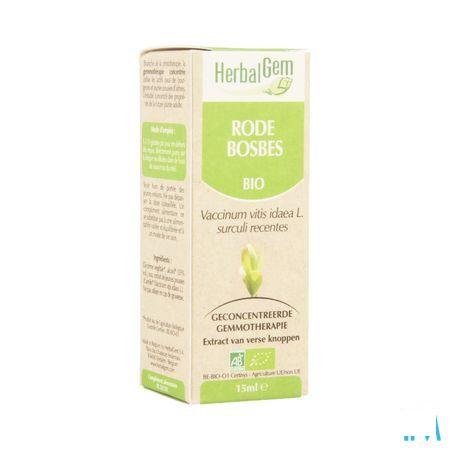 Herbalgem Airelle Macerat 15 ml  -  Herbalgem