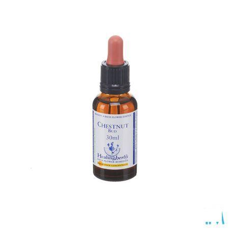 Healing Herbs Chestnut Bud 30 ml