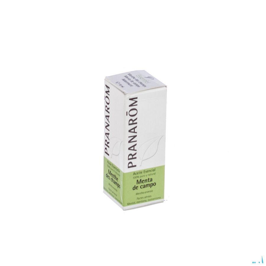 Munt Essentiele Olie 10 ml  -  Pranarom