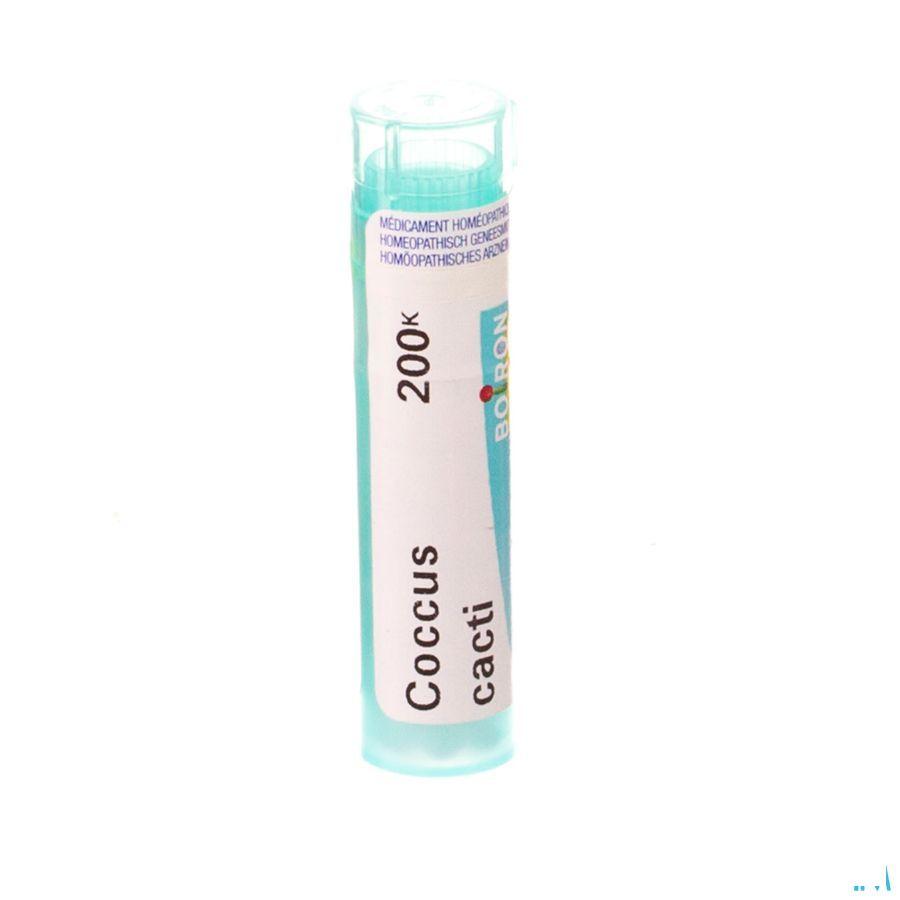 Coccus Cacti 200K Gr 4g  -  Boiron