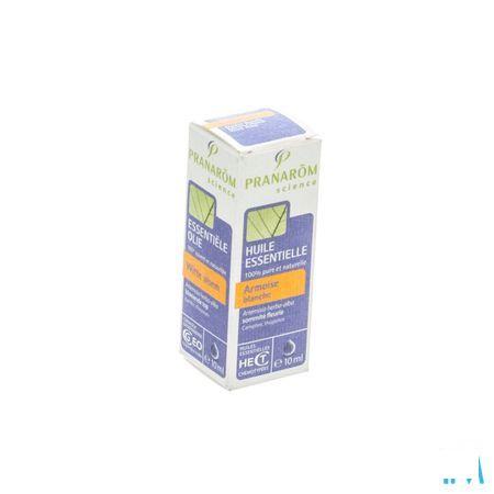 Armoise Blanche Huile Essentielle 10 ml  -  Pranarom