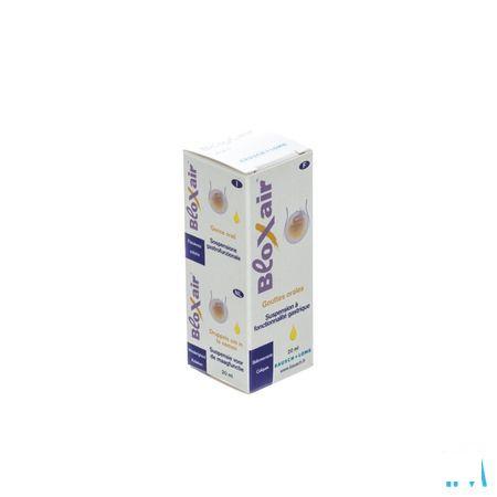 Bloxair Suspension Gastro-intestinale 20 ml