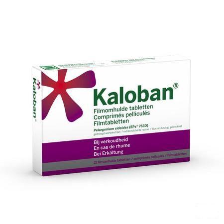 Kaloban 21 Comprimes  -  VSM