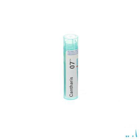 Cantharis 7CH Gr 4g  -  Boiron