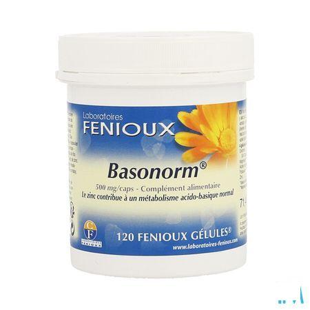 Basonorm Capsule 120  -  Fenioux